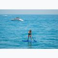 Irklentė SUP AQUASTIC Touring 12'6" 2024 blue 6