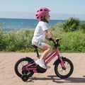 Vaikiškas dviratis ATTABO KNACK 14" rožinis 12