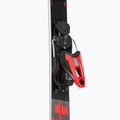 Kalnų slidės Rossignol Hero Elite ST TI K + apkaustai NX 12 Konect GW 5