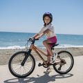 Vaikiškas dviratis ATTABO RASH 20" vario spalvos 14