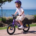 Vaikiškas dviratis ATTABO EASE 14" violetinis 9