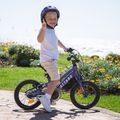 Vaikiškas dviratis ATTABO EASE 14" violetinis 13