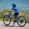 Vaikiškas dviratis ATTABO EASE 24" mėlynas 13