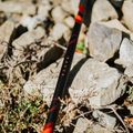 Reguliuojamos raudonos KADVA Tengri žygio lazdos 13
