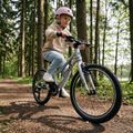 Vaikiškas dviratis ATTABO EASE 20" 9,1 kg silver 7
