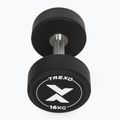 Gumuotas ketaus hantelis XTREXO Pro 16 kg black 7