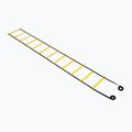Koordinacinės kopetėlės OneTeam S-AG LADDER 6M yellow 7