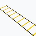 Koordinacinės kopetėlės OneTeam S-AG LADDER 6M yellow