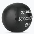 Medicininis kamuolys TREXO Wall Ball 12 kg juodas 2