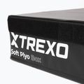 Sulankstoma plyometrinė dėžė TREXO 15 cm juoda 3