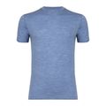Vyriški termo marškinėliai WOOLCANO Merino 100% TEE0546 blue 4