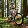 Vaikiškas dviratis ATTABO EASE 24" 9,6 kg Gen 2 pink 5