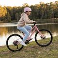 Vaikiškas dviratis ATTABO EASE 24" 9,2 kg Gen 2 pink 6