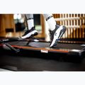 Elektrinis bėgimo takelis TREXO Walking Pad W150 juodas 8