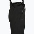 Moteriškos slidinėjimo kelnės DISUMER Alpine Pants WMNS Black 4