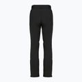 Moteriškos slidinėjimo kelnės DISUMER Alpine Pants WMNS Black 12