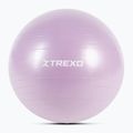 Gimnastikos kamuolys XTREXO TXO-B4Z008-VT 65 cm violetinis