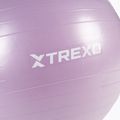 Gimnastikos kamuolys XTREXO TXO-B4Z008-VT 65 cm violetinis 5