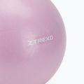 Mini gimnastikos kamuolys TREXO TXO-B4Z011-VT 25 cm violetinis 2