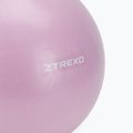 Mini gimnastikos kamuolys XTREXO TXO-B4Z011-VT 25 cm violetinis 3