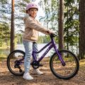 Vaikiškas dviratis ATTABO EASE 20" violetinis 6