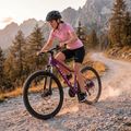 Moteriškas kalnų dviratis ATTABO ALPE 3.0 17 purpurinės spalvos 4