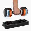 Reguliuojamų hantelių rinkinys XTREXO 2 x 5 kg multicolor 10