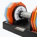 Reguliuojamų hantelių rinkinys XTREXO 2 x 10 kg multicolor 5
