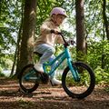 Vaikiškas dviratis ATTABO EASE 16" 7,3 kg turkio spalvos 4