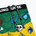 Treniruočių šortai Ground Game Vale Tudo Copacabana multicolor 6