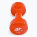 Bauer Fitness vinilo hanteliai 5 kg AC-1406 3