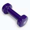Bauer Fitness vinilo hanteliai 2 kg AC-1403 2