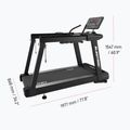 Elektrinis bėgimo takelis XEBEX SledTrac 6000 black 12