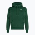 Vyriškas džemperis PROSTO Hoodie Pomet green 5