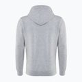 Vyriškas džemperis PROSTO Hoodie Sweer gray 2