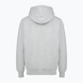 Vyriškas džemperis PROSTO Hoodie Aiz gray 2