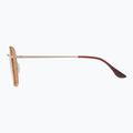 Akiniai nuo saulės GOG Elektra matt brown demi/gold 3