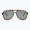 Saulės akiniai GOG Ranger brown demi/green 2