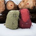 Turistinis kuprinė Alpinus Lecco 25 l šviesiai žalia 9