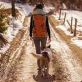 Turistinė kuprinė Alpinus Teno 24 l orange 3