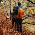 Turistinė kuprinė Alpinus Teno 24 l orange 5