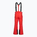 Vyriškos slidinėjimo kelnės 4F Fnk M1155 red 2
