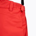 Vyriškos slidinėjimo kelnės 4F Fnk M1155 red 3