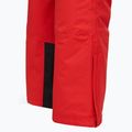Vyriškos slidinėjimo kelnės 4F Fnk M1155 red 4