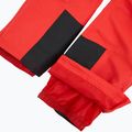 Vyriškos slidinėjimo kelnės 4F Fnk M1155 red 5