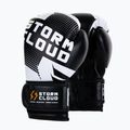 Bokso pirštinės StormCloud Bolt 3.0 black/white 2