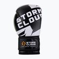 Bokso pirštinės StormCloud Bolt 3.0 black/white 4