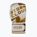 Bokso pirštinės StormCloud Bolt 3.0 white/gold 4