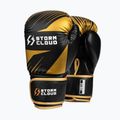 Bokso pirštinės StormCloud Lynx 2.0 black/gold 2