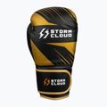 Bokso pirštinės StormCloud Lynx 2.0 black/gold 4
